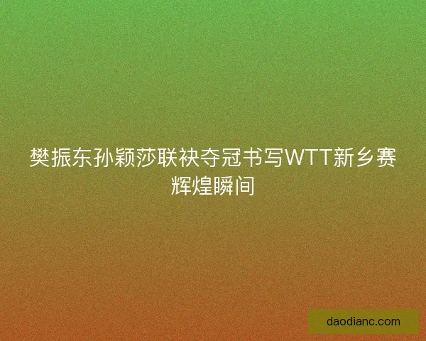 樊振东孙颖莎联袂夺冠书写WTT新乡赛辉煌瞬间
